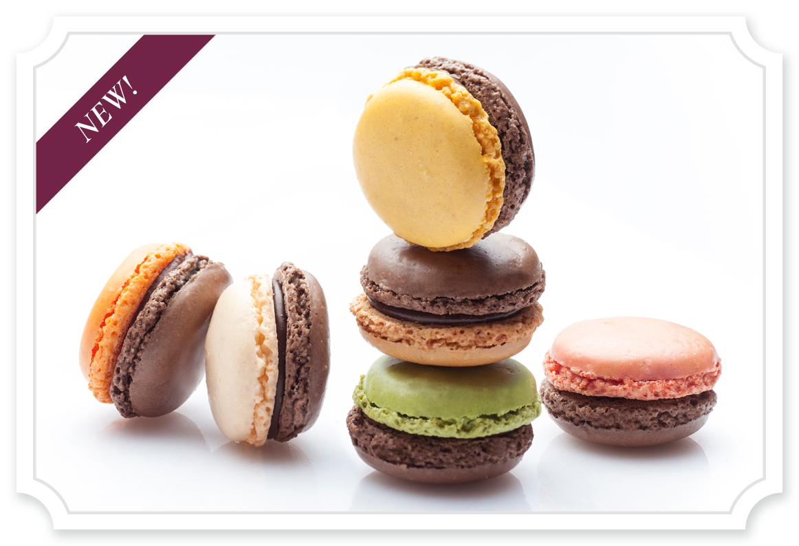 Chocolate Macarons Collection
